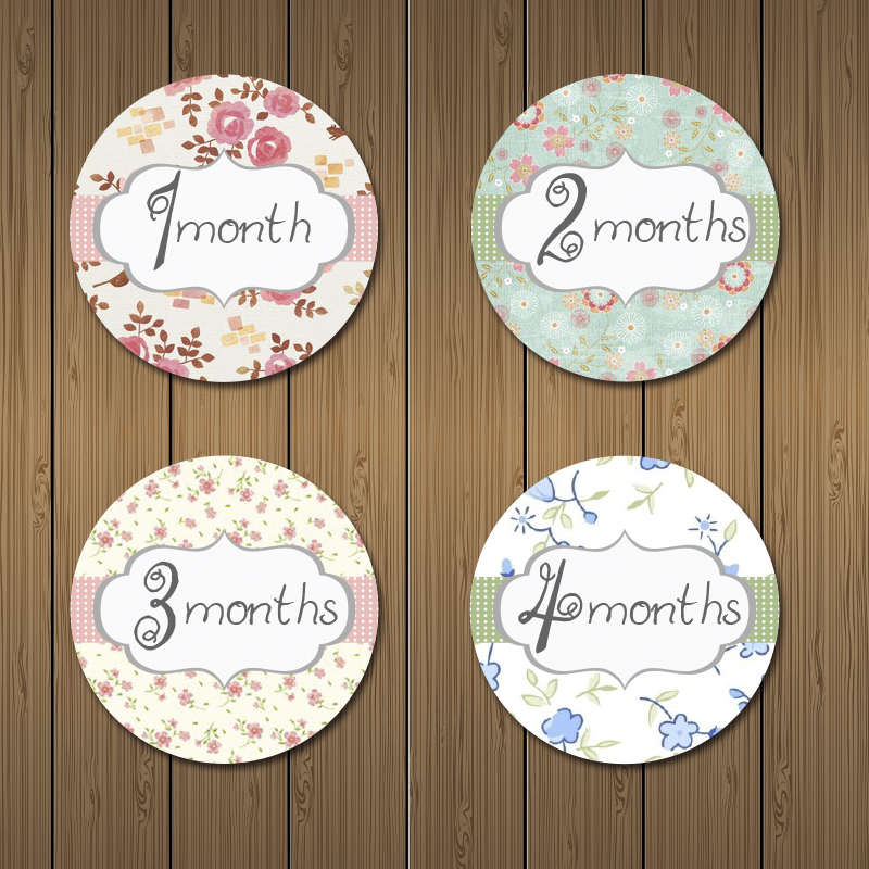 GIRL   ƼĿ 12  ƼĿ   ǰ/GIRL monthly growth Stickers Includes 12 month stickers Photo Props